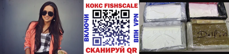 купить закладку Новомичуринск COCAIN Fish Scale