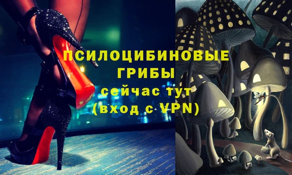 бошки Алзамай