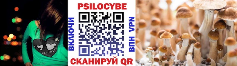 Галлюциногенные грибы Psilocybine cubensis  продажа наркотиков  Новомичуринск 