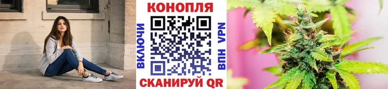 где продают Новомичуринск МАРИХУАНА семена